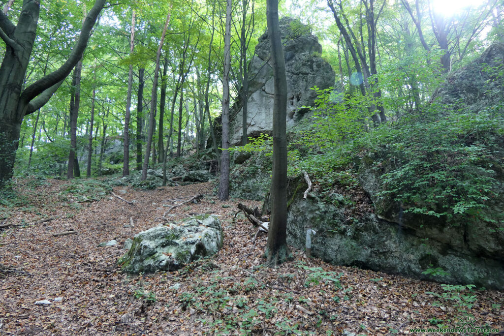 Szlak do Zamku Bąkowiec