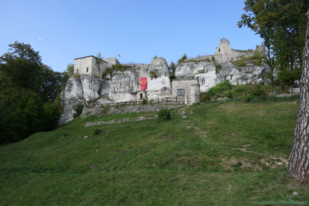 Zamek Bąkowiec w Morsku