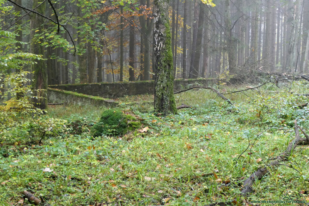 Niebieski Szlak na Błędne Skały - fundamenty po dawnych budynkach