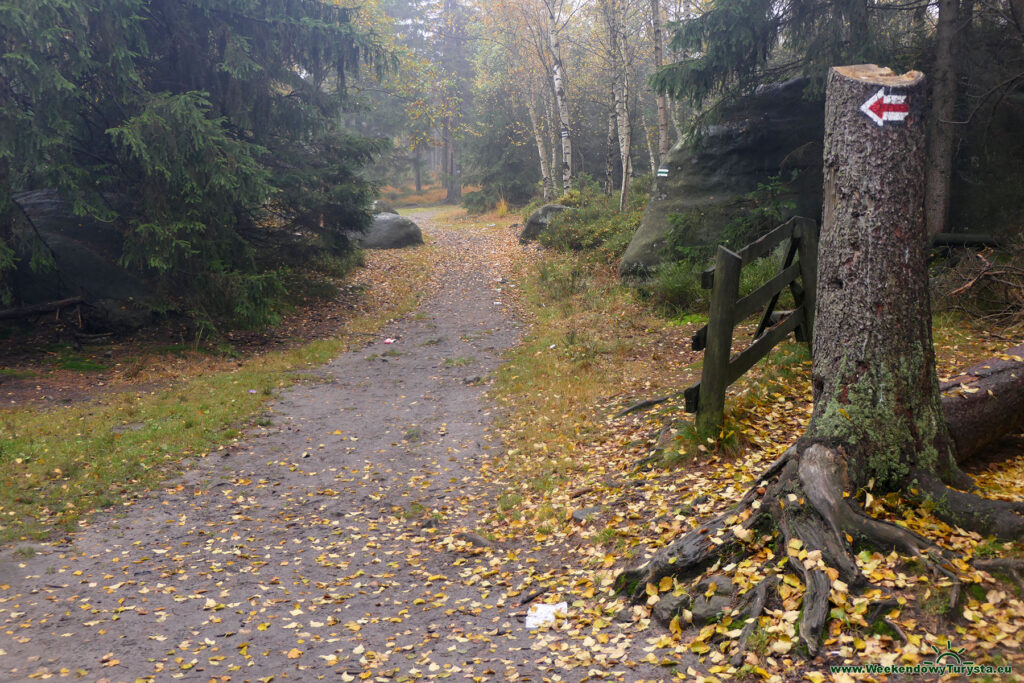 Park Narodowy Gór Stołowych - czerwony szlak