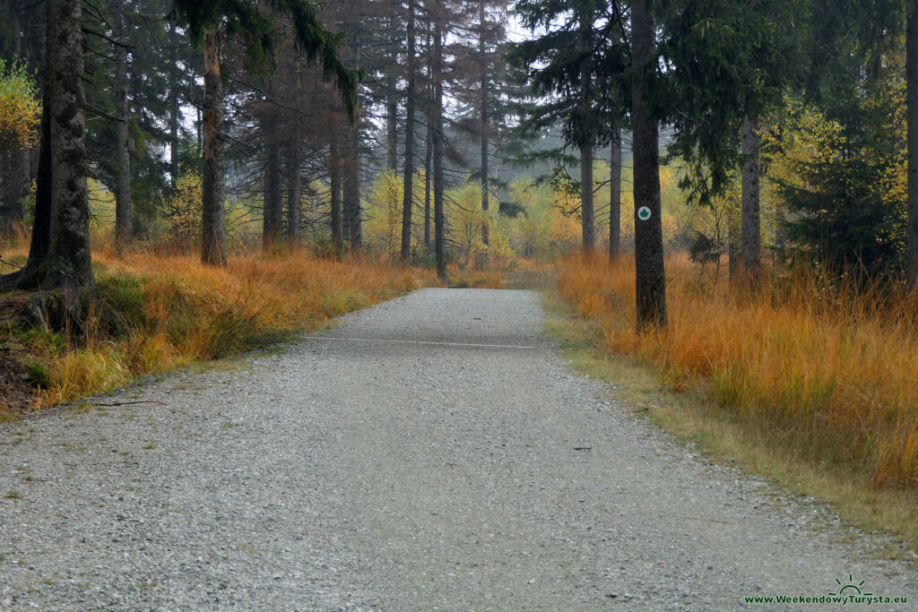 Park Narodowy Gór Stołowych - Ścieżka edukacyjna im. Kazimierza Klimowicza