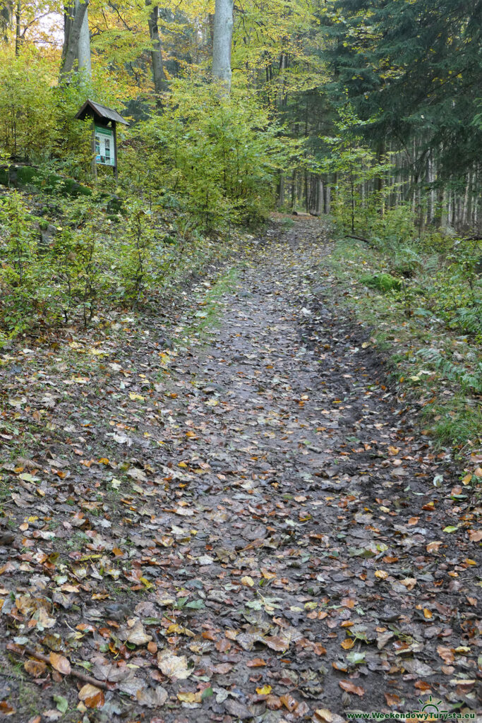 Park Narodowy Gór Stołowych