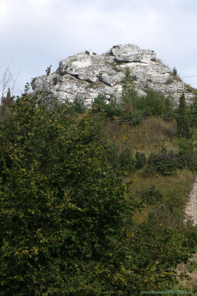 Szlak do Gór Towarnych