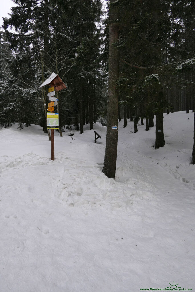 Niebieski szlak do schroniska Samotnia