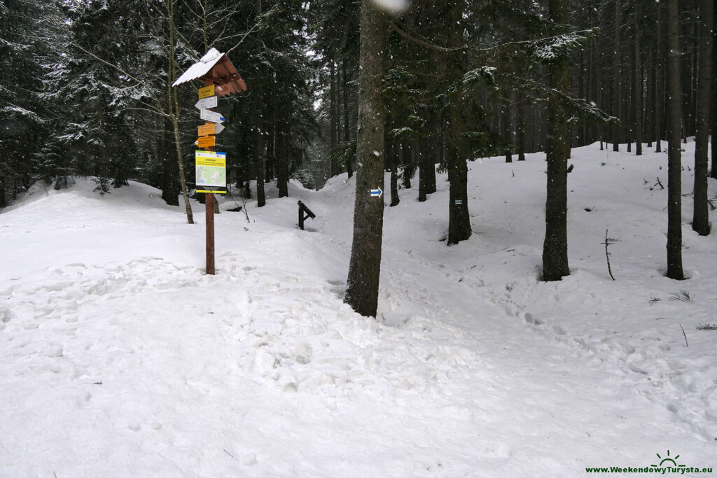 Niebieski szlak do schroniska Samotnia