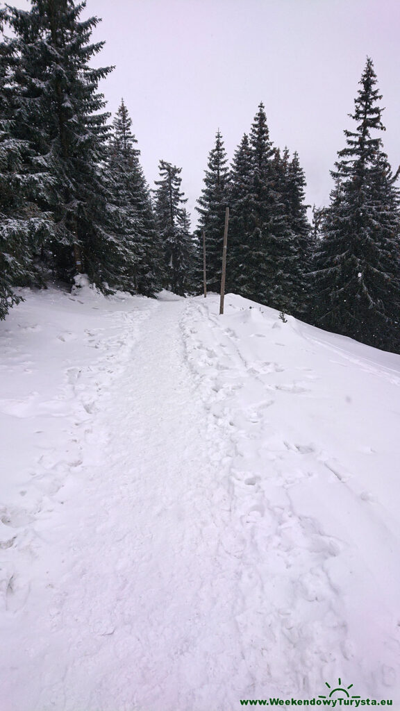 Schronisko Strzecha Akademicka