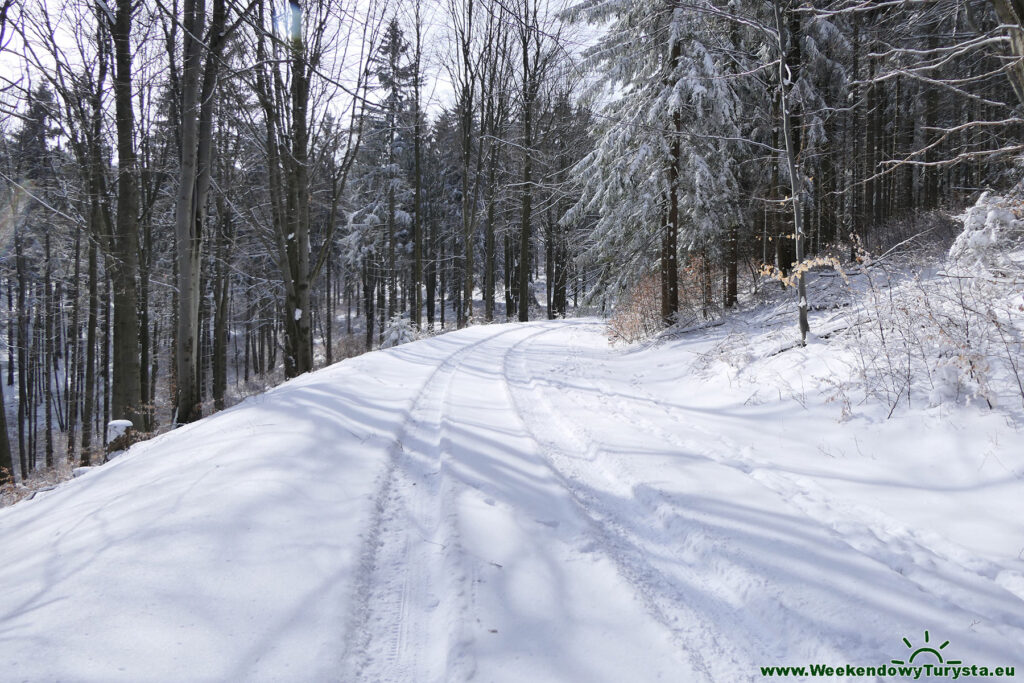 Trasa naziemna wokół Wlodarza