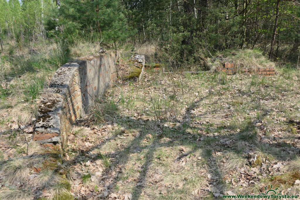 Muzeum Obozów Jenieckich Żagań - teren obozu