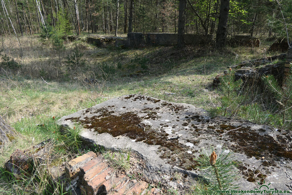 Muzeum Obozów Jenieckich Żagań - teren obozu