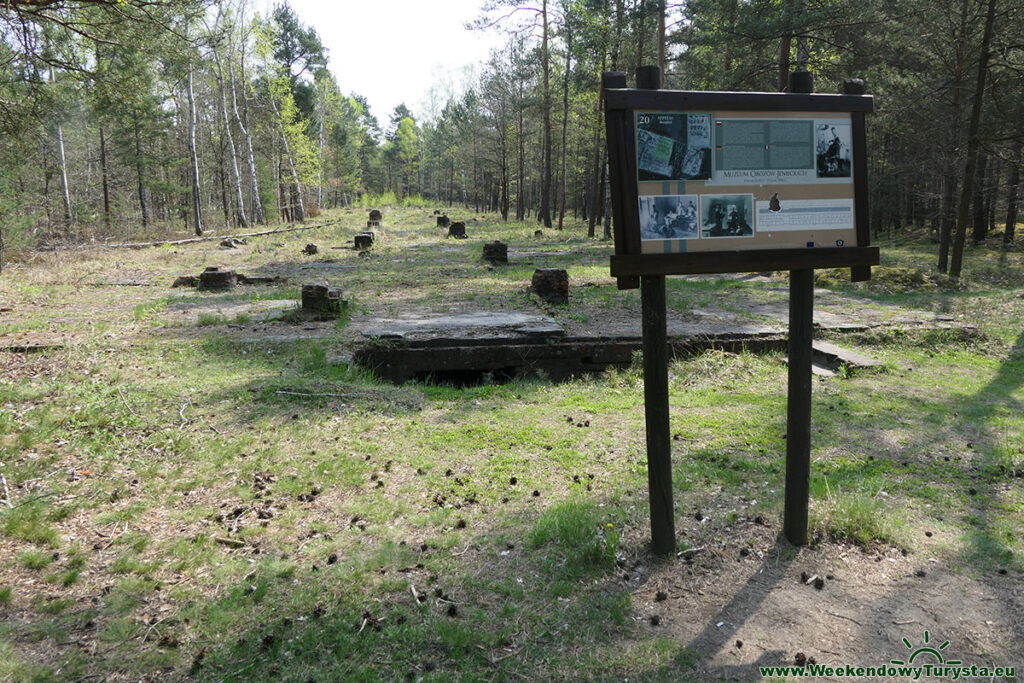 Muzeum Obozów Jenieckich Żagań - tunel Harry