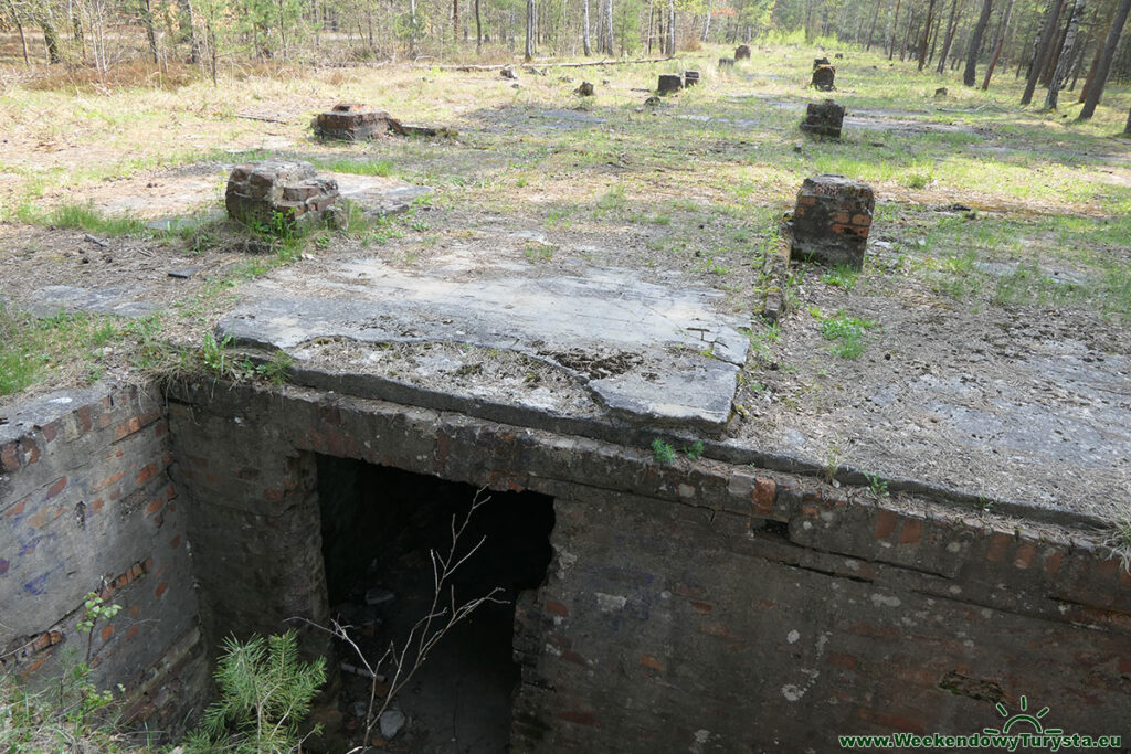 Muzeum Obozów Jenieckich Żagań - tunel Harry