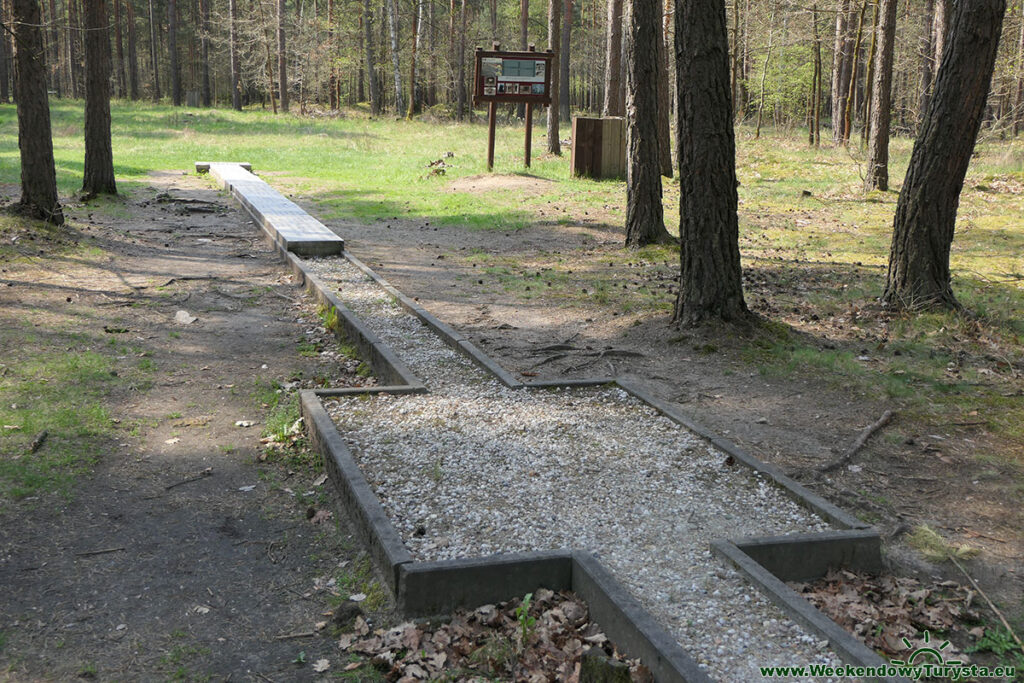 Muzeum Obozów Jenieckich Żagań - tunel Harry