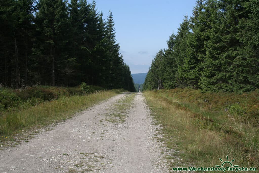 Szlak z Jakuszyc do Schroniska Orle