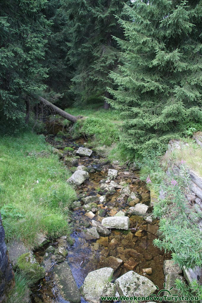 Strumień po drodze do Schroniska Orle - Jednodniowa wyprawa w Góry Izerskie