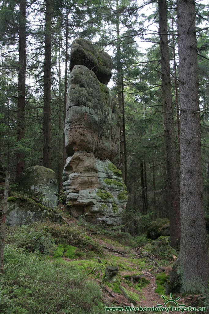 Baszta przy Sroczym Zakręcie w Radkowskich Skałach