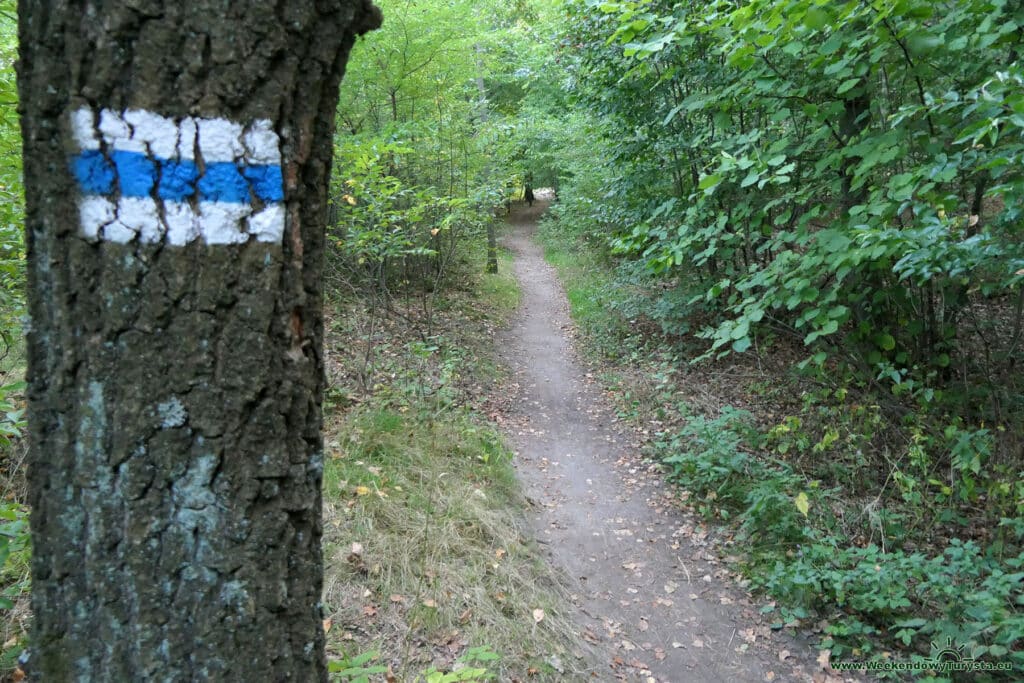 Niebieskie szlak na Zamek Ostrężnik