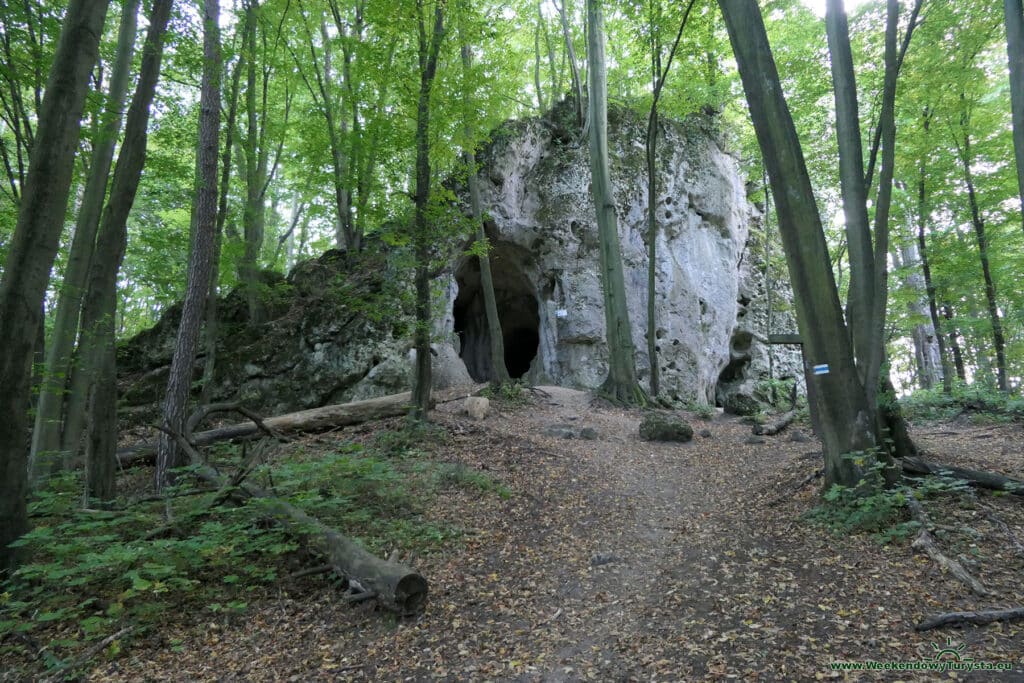 Szlak do Zamku Ostrężnik