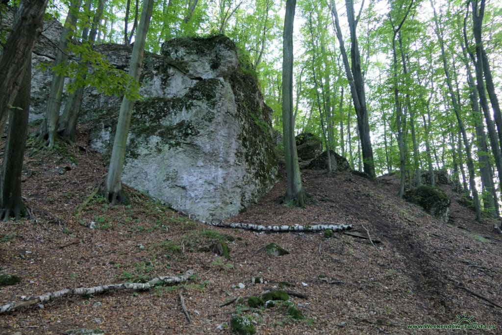 Wzgórze zamkowe Ostrężnik