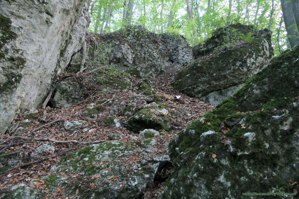 Wzgórze zamkowe Ostrężnik