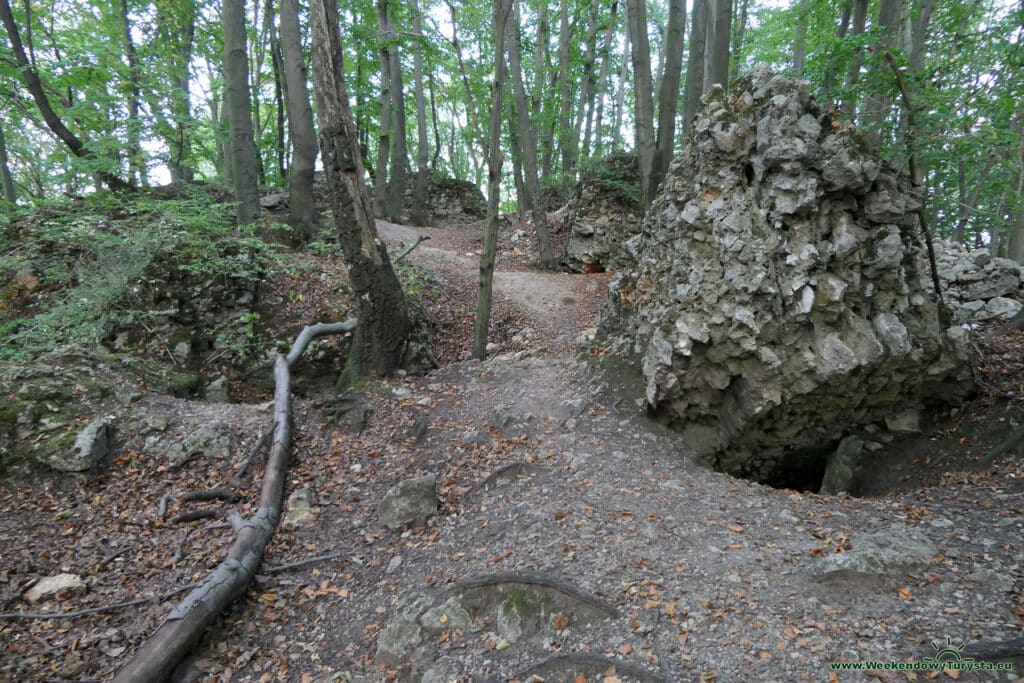 Zamek Ostrężnik