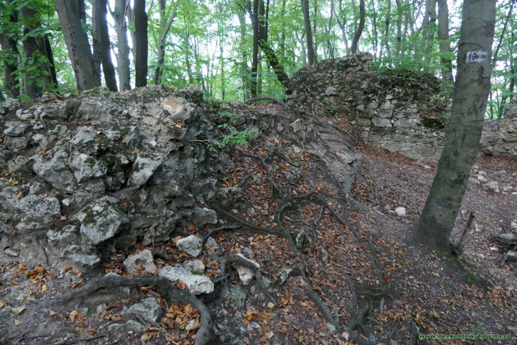 Ruiny Zamku Ostręznik