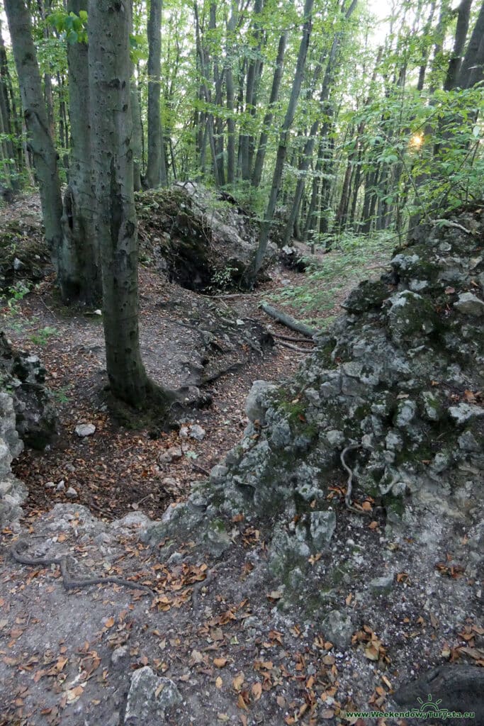 Ruiny Zamku Ostręznik