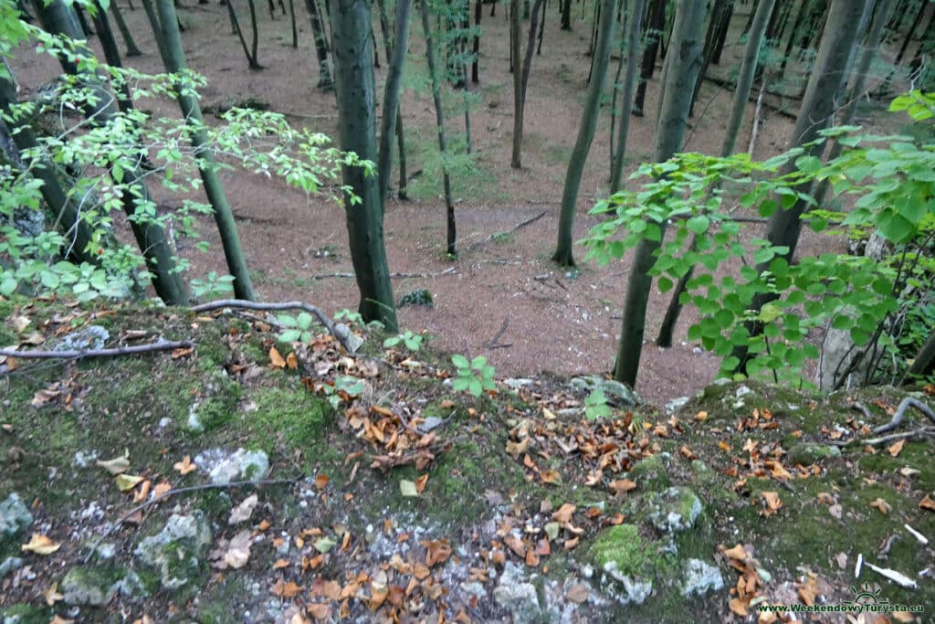 Ruiny Zamku Ostręznik