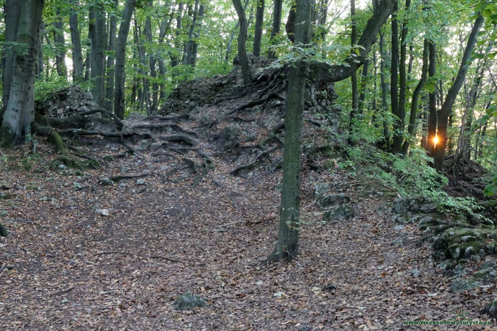 Ruiny Zamku Ostręznik