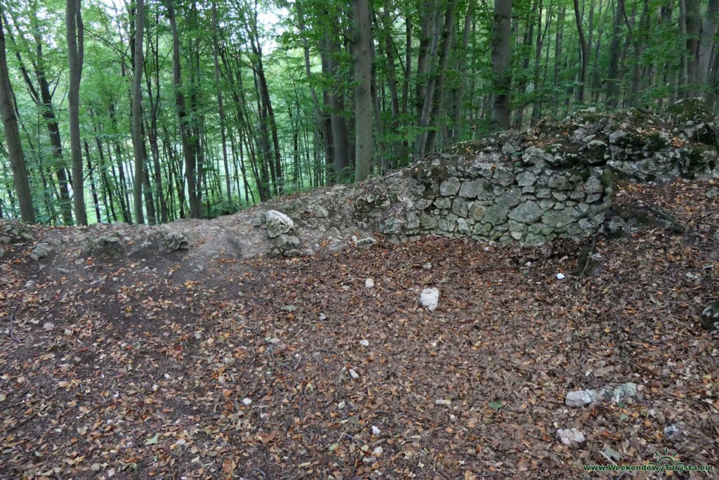 Ruiny Zamku Ostręznik