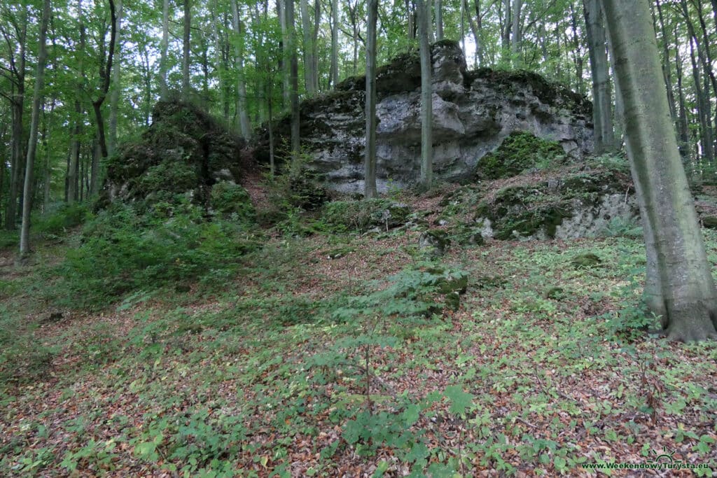 Okolice Zamku Ostręznik