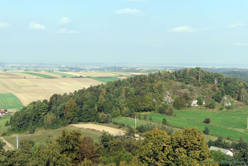 Zamek Pilcza w Smoleniu - widok z wieży zamkowej