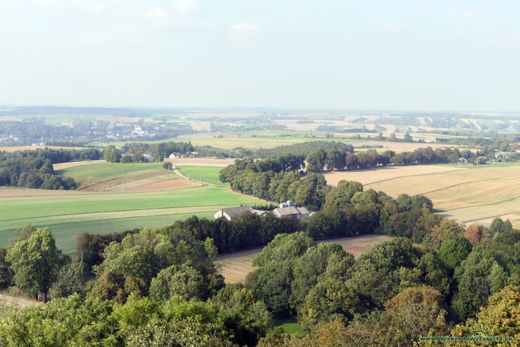 Zamek Pilcza w Smoleniu - widok z wieży zamkowej