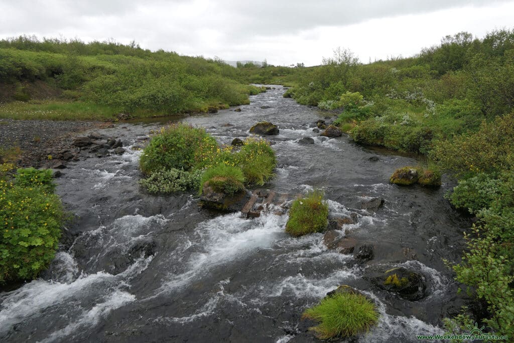 Szlak do wodospadu Bruararfoss