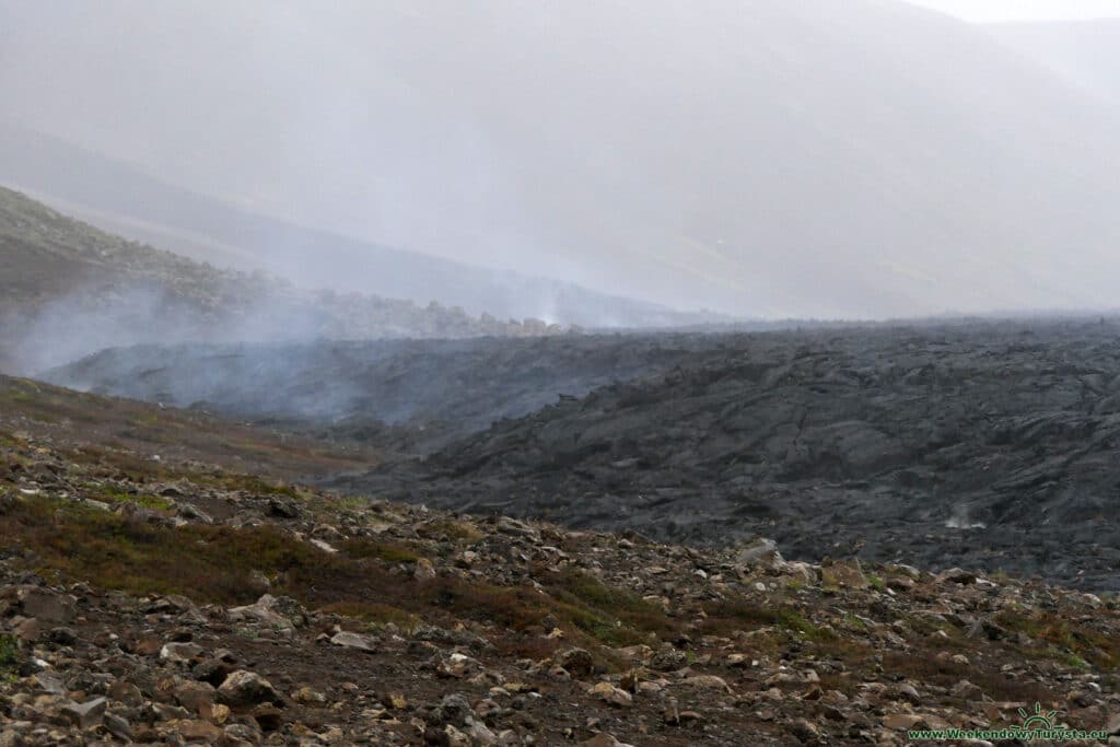 Droga do wulkanu Geldingardalur - południowa Islandia - pole lawy