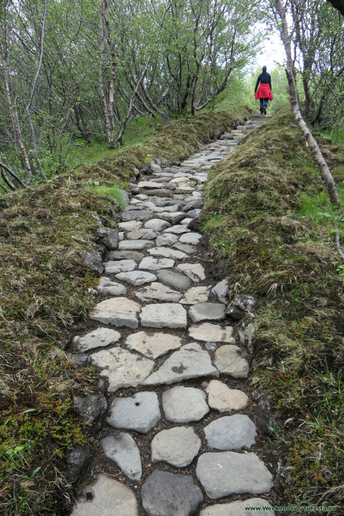 Malownicza dolina Gjáin z wodospadami