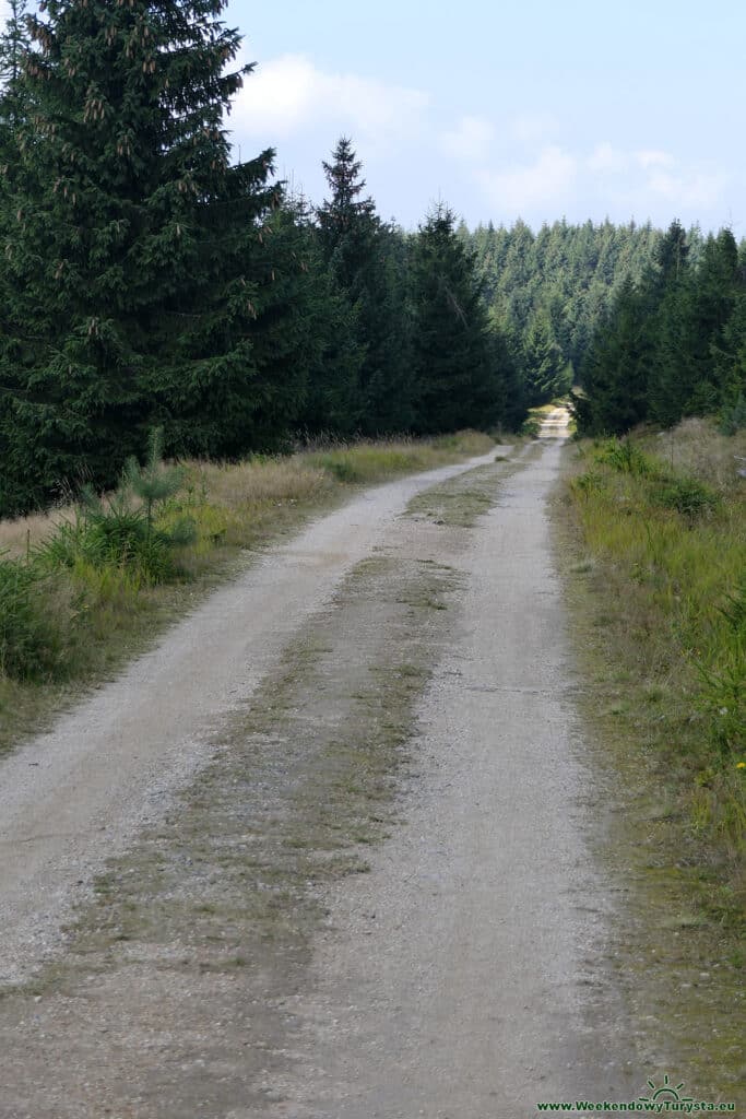 Żółty szlak w czeskich Izerach