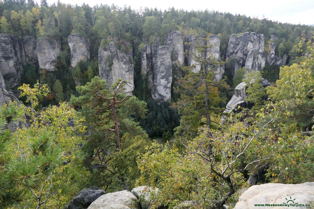 Widok na Skalme Miasto