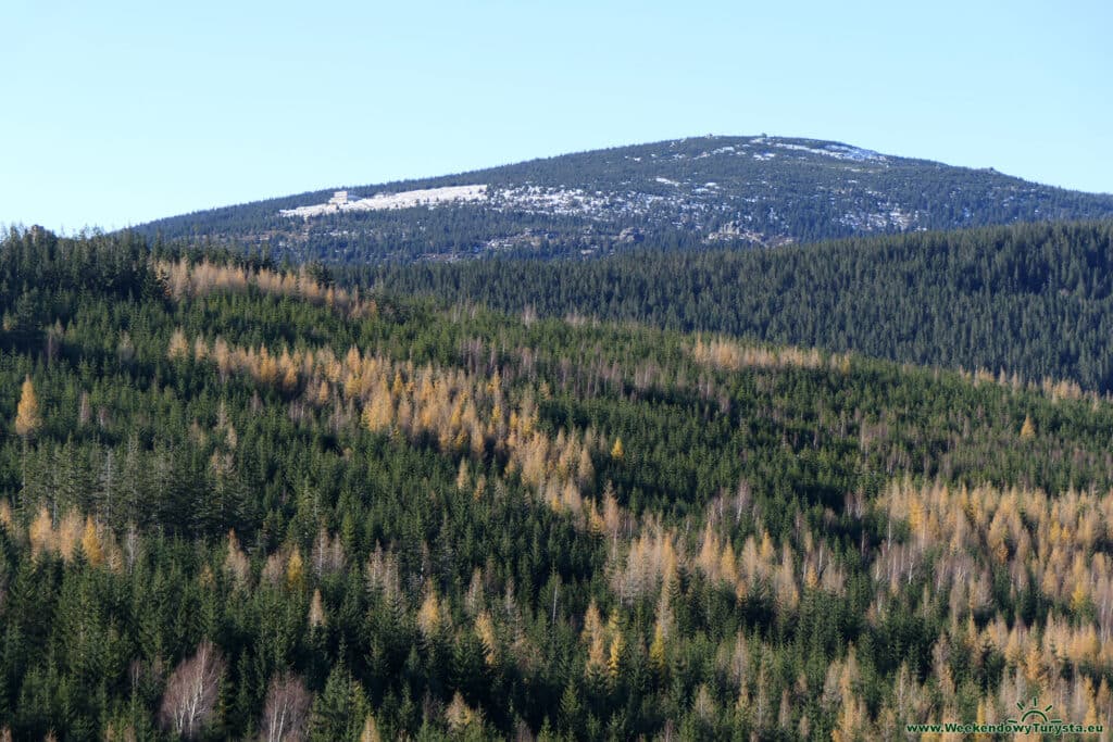 Skałki Zamczysko w Karkonoszach - widok ze szczytu