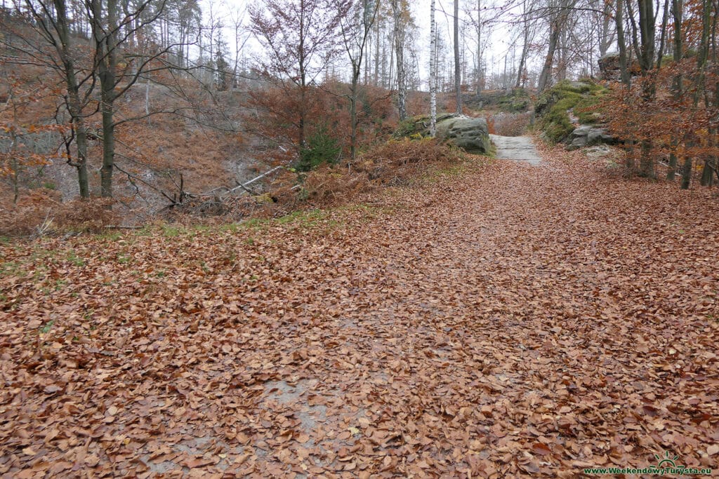 Czerwony szlak na Czeską Szwajcarię z Mezni Louka