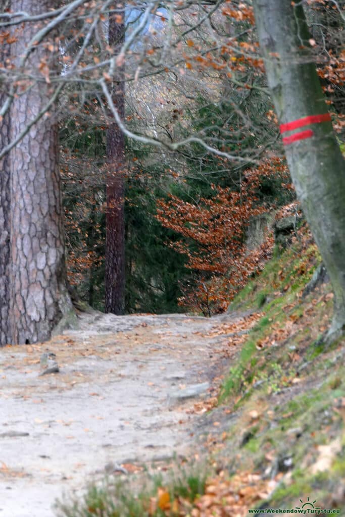 Park Narodowy Czeska Szwajcaria - czerwony szlak