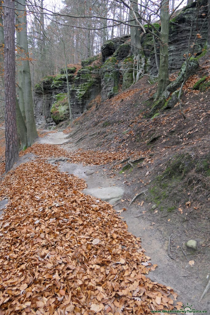 Park Narodowy Czeska Szwajcaria - czerwony szlak