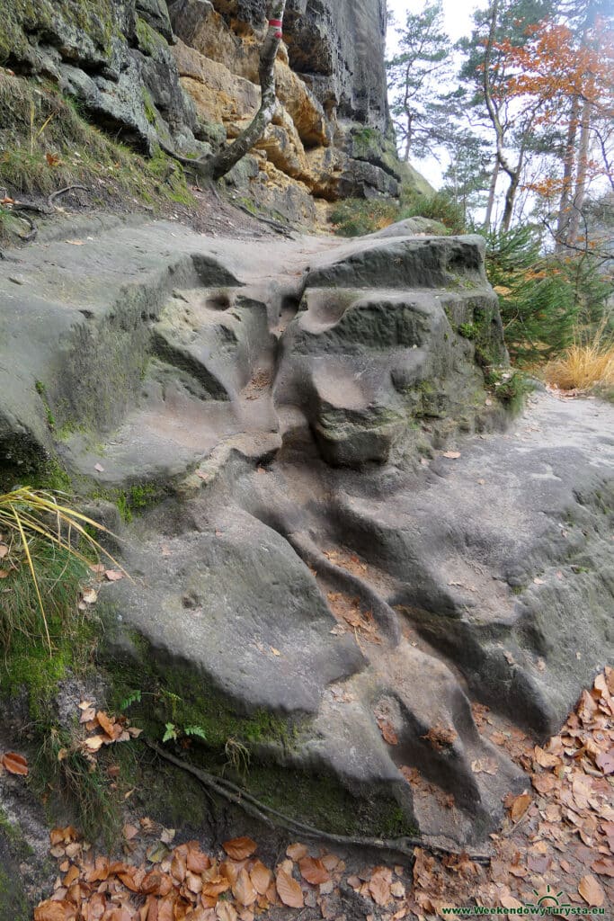 Park Narodowy Czeska Szwajcaria - czerwony szlak do Pravcickiej Bramy