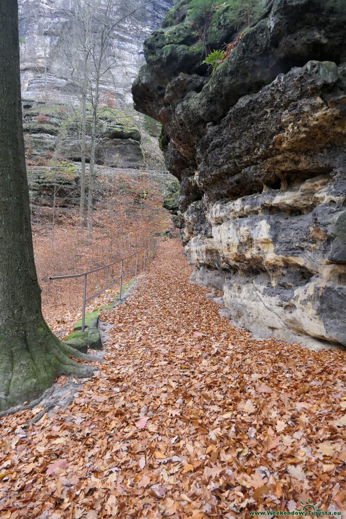 Park Narodowy Czeska Szwajcaria - czerwony szlak do Pravcickiej Bramy