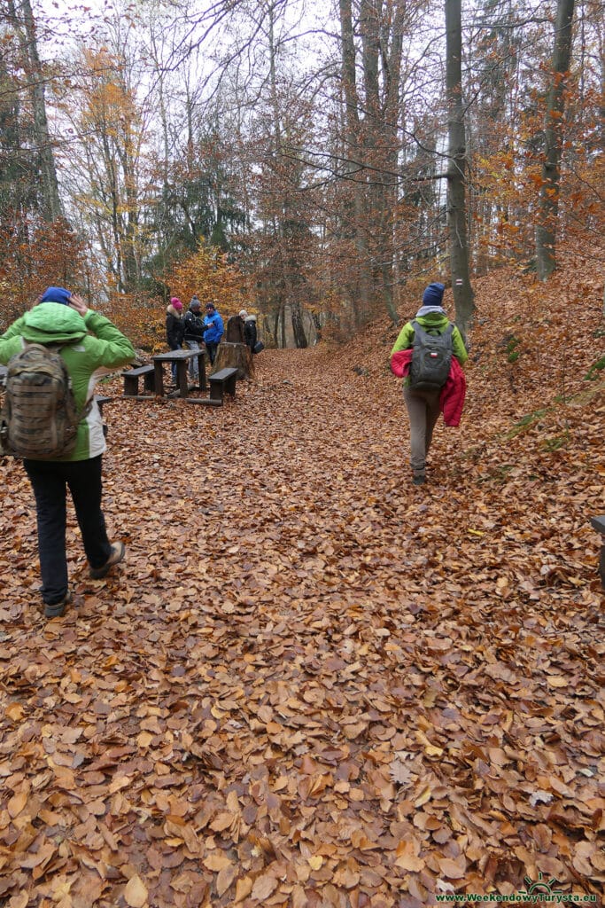 Park Narodowy Czeska Szwajcaria - czerwony szlak powrotny z  Pravcickiej Bramy