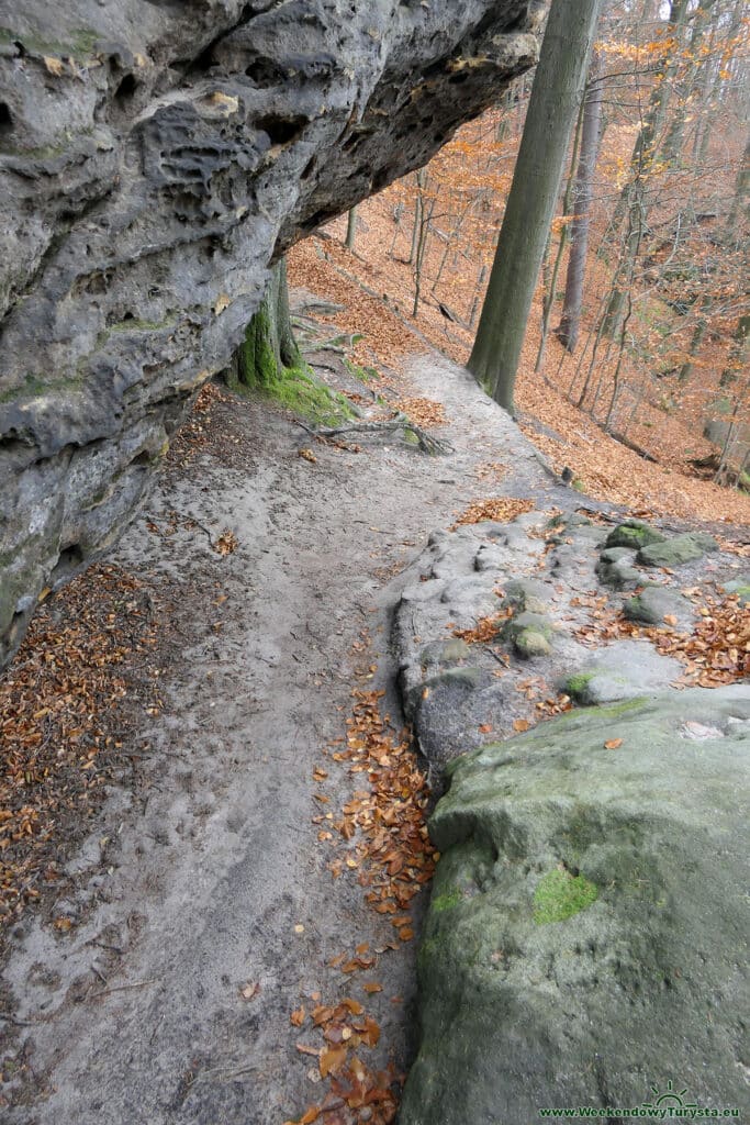 Park Narodowy Czeska Szwajcaria - czerwony szlak powrotny z  Pravcickiej Bramy