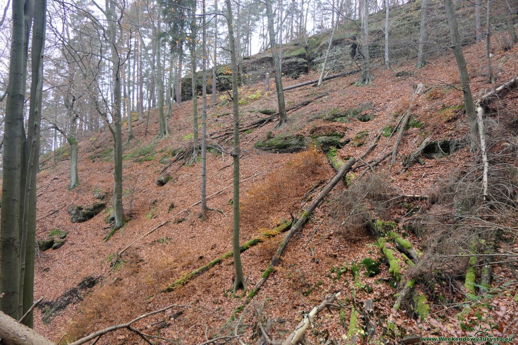 Park Narodowy Czeska Szwajcaria - czerwony szlak powrotny z  Pravcickiej Bramy