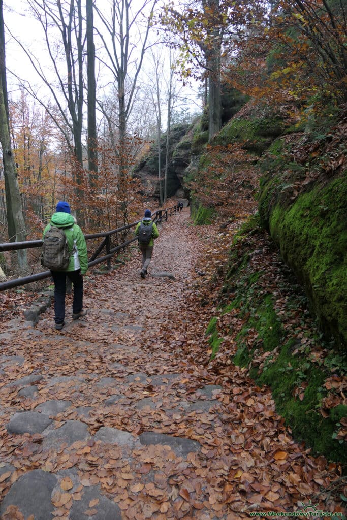 Park Narodowy Czeska Szwajcaria - czerwony szlak powrotny z  Pravcickiej Bramy