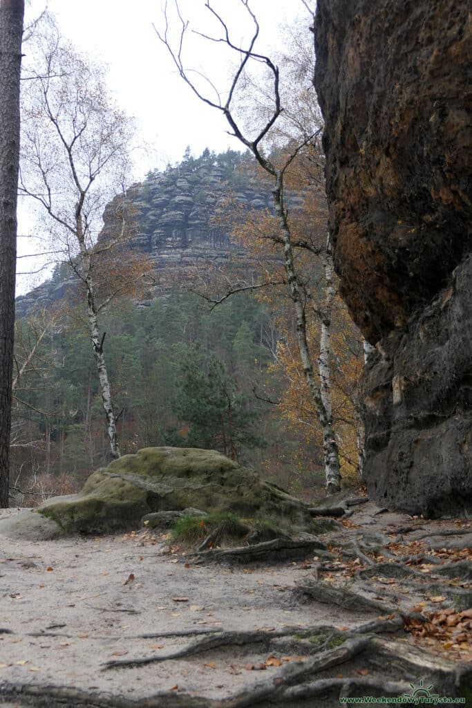 Park Narodowy Czeska Szwajcaria - czerwony szlak powrotny z  Pravcickiej Bramy