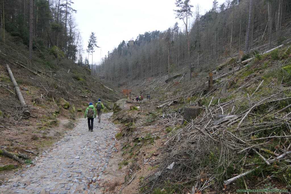 Park Narodowy Czeska Szwajcaria - czerwony szlak powrotny z  Pravcickiej Bramy