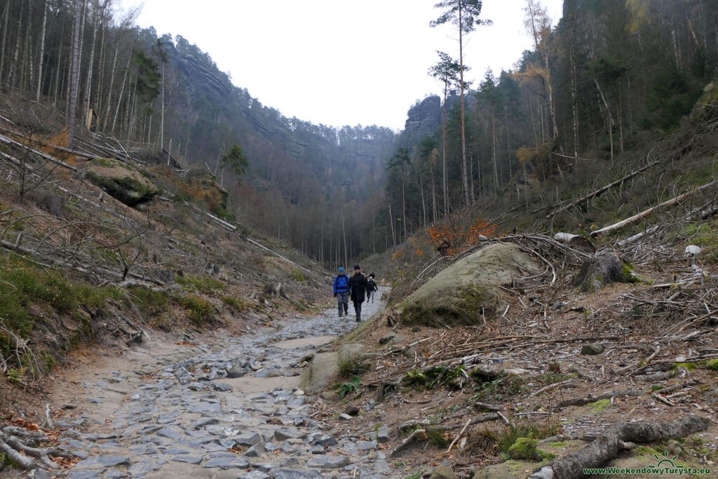 Dolina w drodze powrotnej z Pravcickiej Bramy